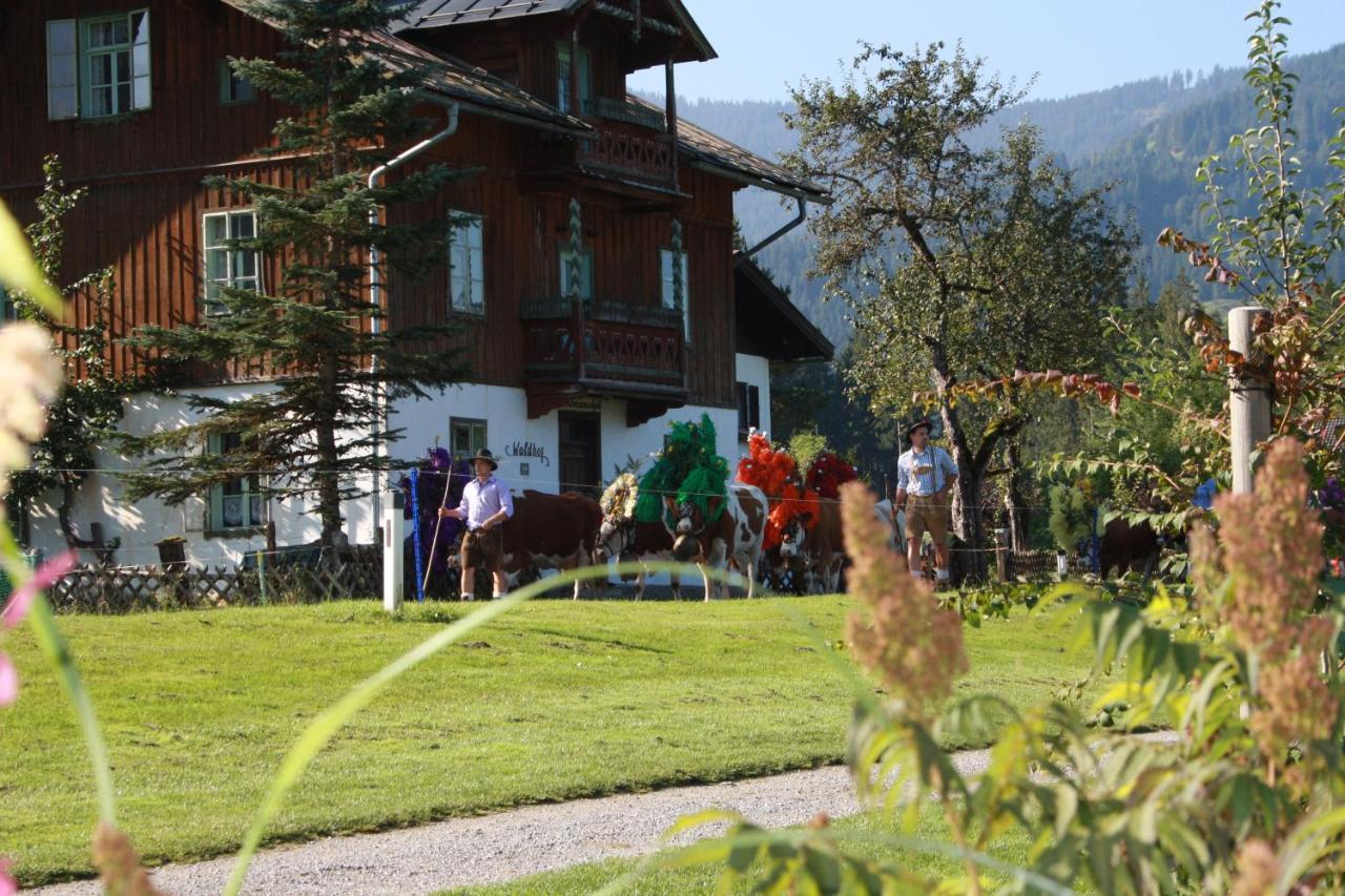 Gaestehaus Hoegerhof Hopfgarten im Brixental Extérieur photo